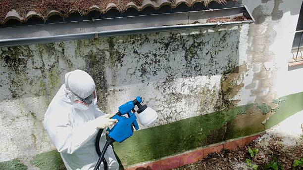 Trusted Commercial Mold Remediation service in Louisburg, NC - Cheap Mold Removal